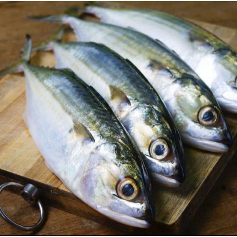 

IKAN KEMBUNG BANJAR