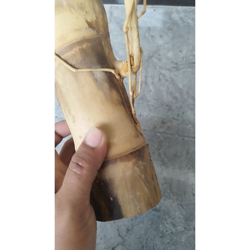 bambu petuk jalu