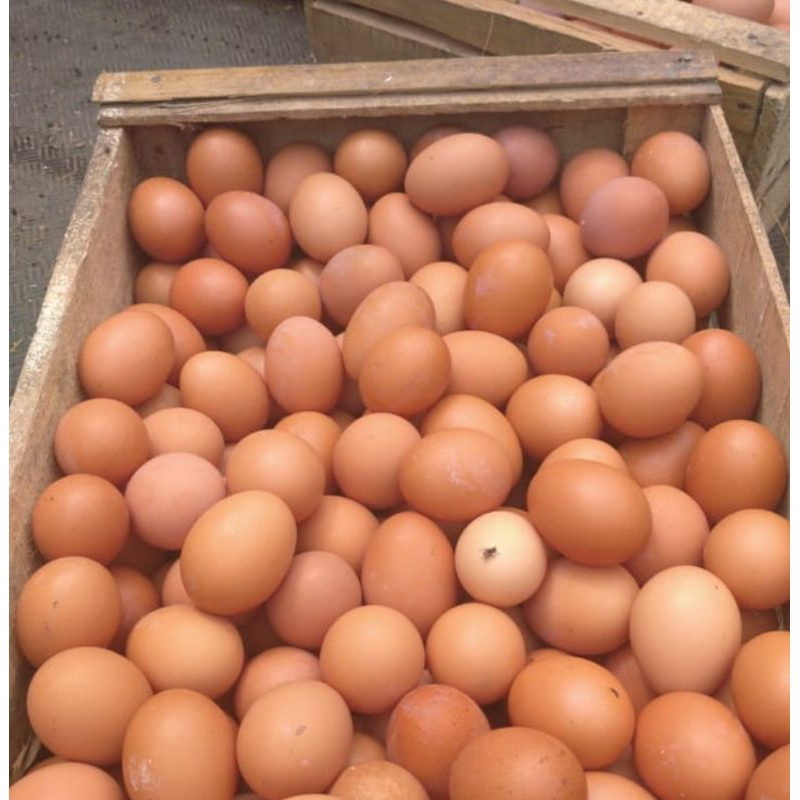 

Telur Ayam Falam Negeri Fresh pilihan(1kg)