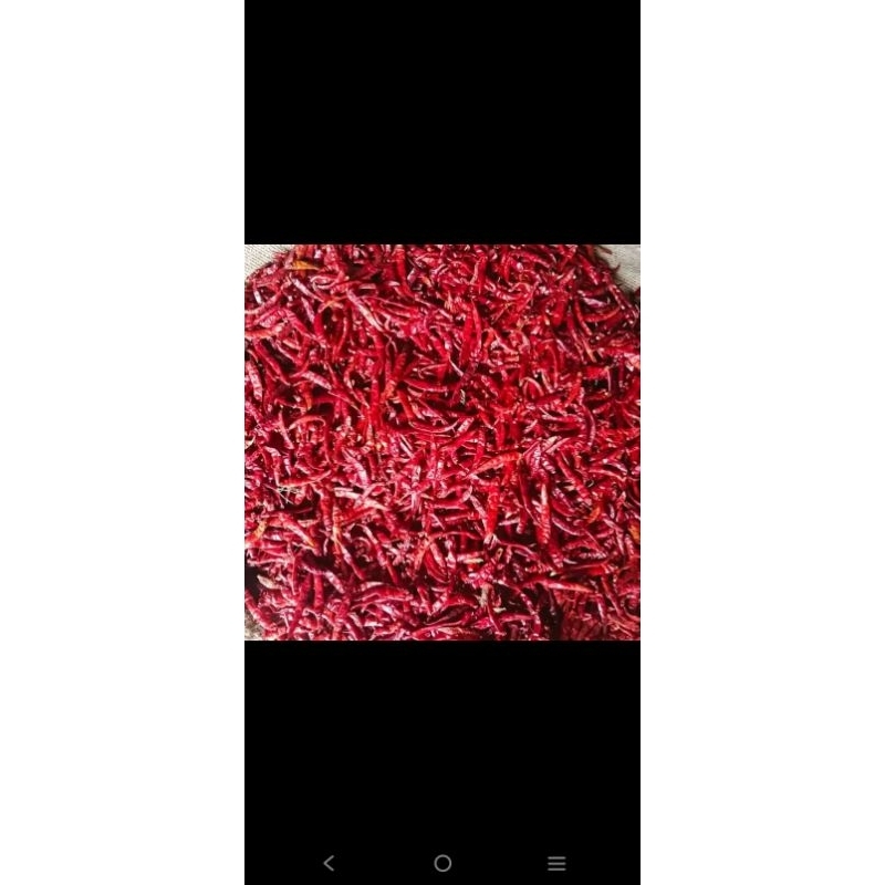 

cabe kering japlak teja