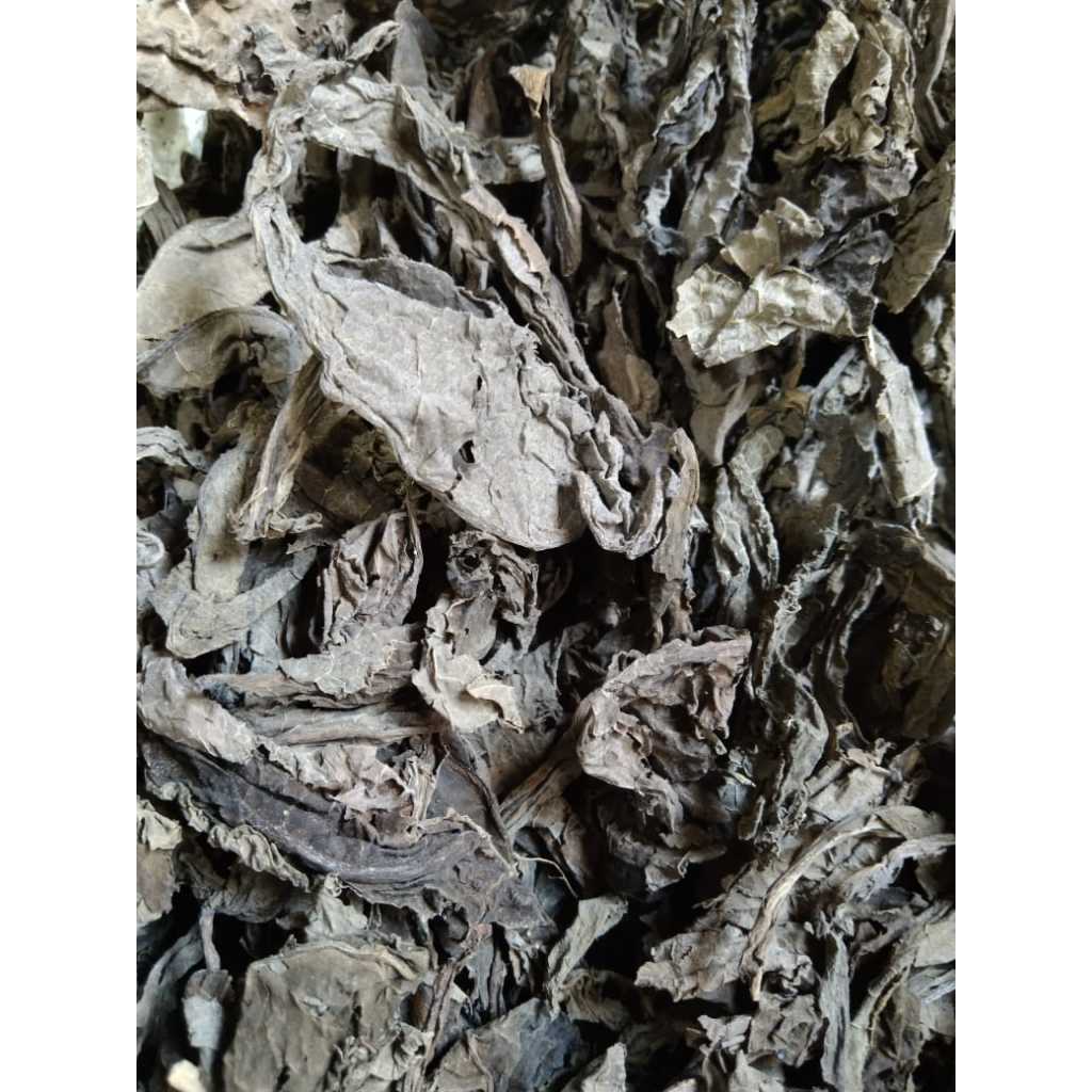 

Daun Tempuyung Kering 250gram