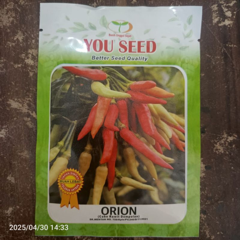 

Cabai Rawit Dompolan ORION