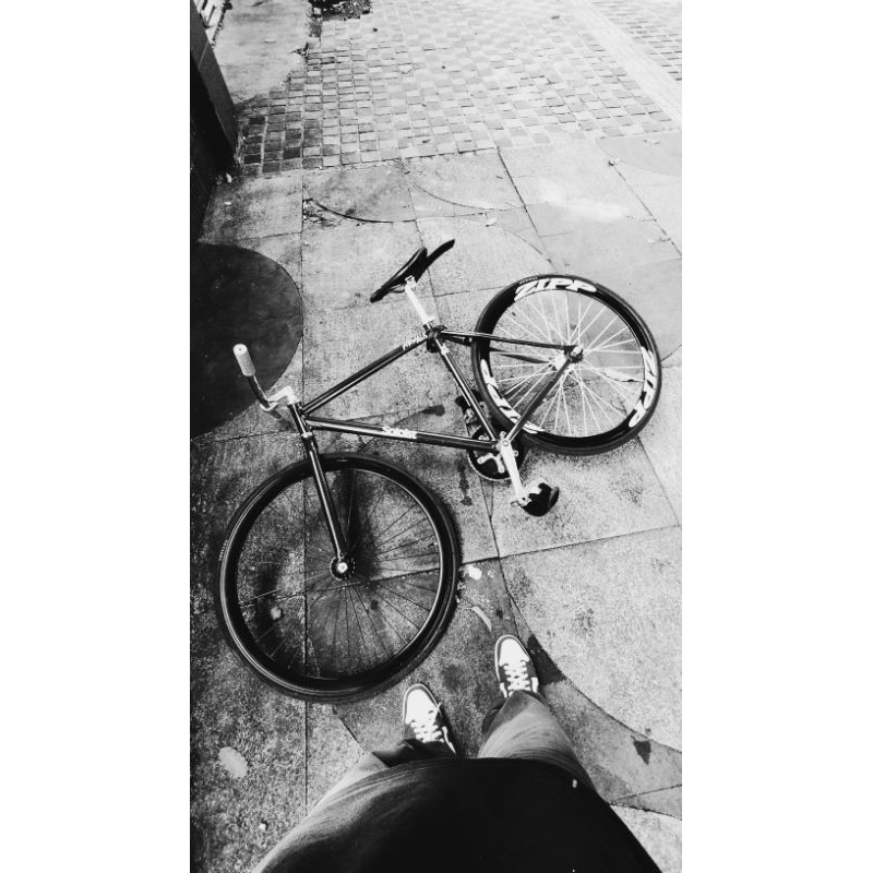 Fullbike fixie