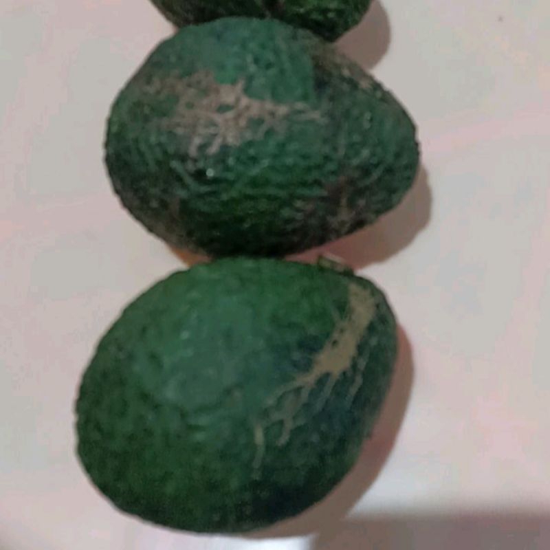 

Alpukat Hass 1 Kg Grade Khusus | Kualitas Premium Organik