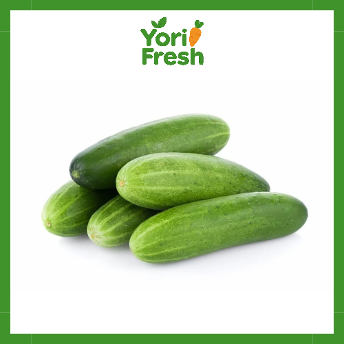 

[INSTAN/SAMEDAY] Mentimun timun biasa murah fresh - 500 gr