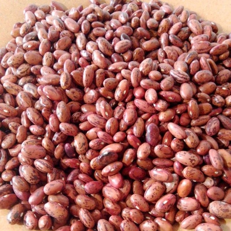 

Kacang Merah kering / Brenabon dari Kupang