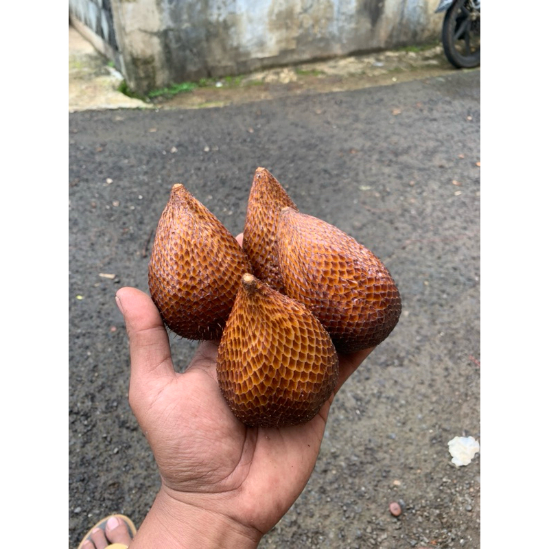 Salak Pondoh Buah Salak Fresh Pondoh 1kg isi 15-20 Biji Asli Banjarnegara Manis Grade A&B