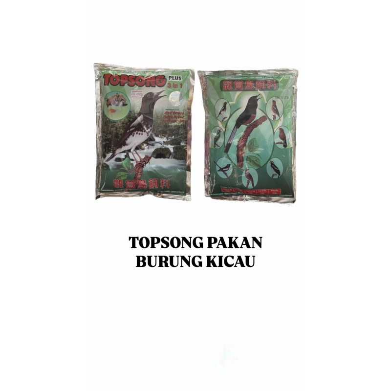 topsong pakan burung