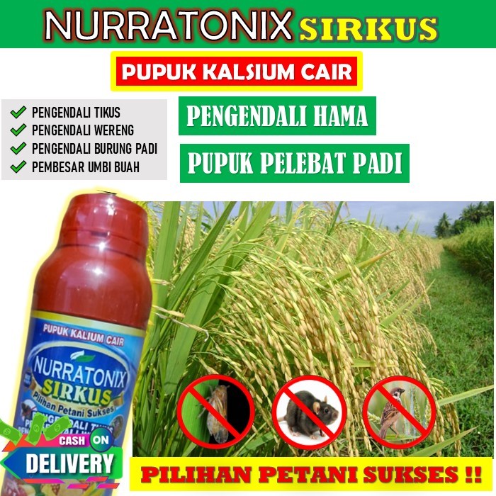 PUPUK KALIUM CAIR NURRATONIX SIRKUS PUPUK PELEBAT PADI PLUS ANTI HAMA TIKUS, BURUNG DAN WERENG - PUP