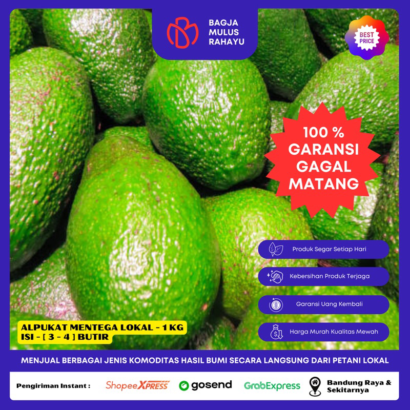 

Alpukat Mentega Lokal - 1 KG - [ Isi 3 - 4 Butir ] - Buah Alpukat Mentega Lokal Bergaransi