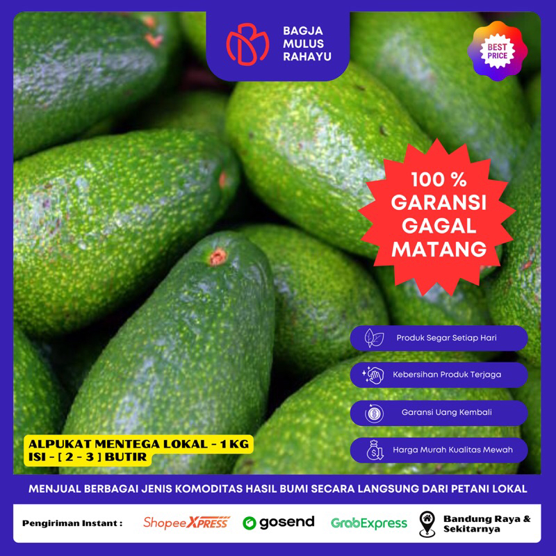 

Alpukat Mentega Lokal - 1 KG - [ Isi 2 - 3 Butir ] - Buah Alpukat Mentega Lokal Bergaransi