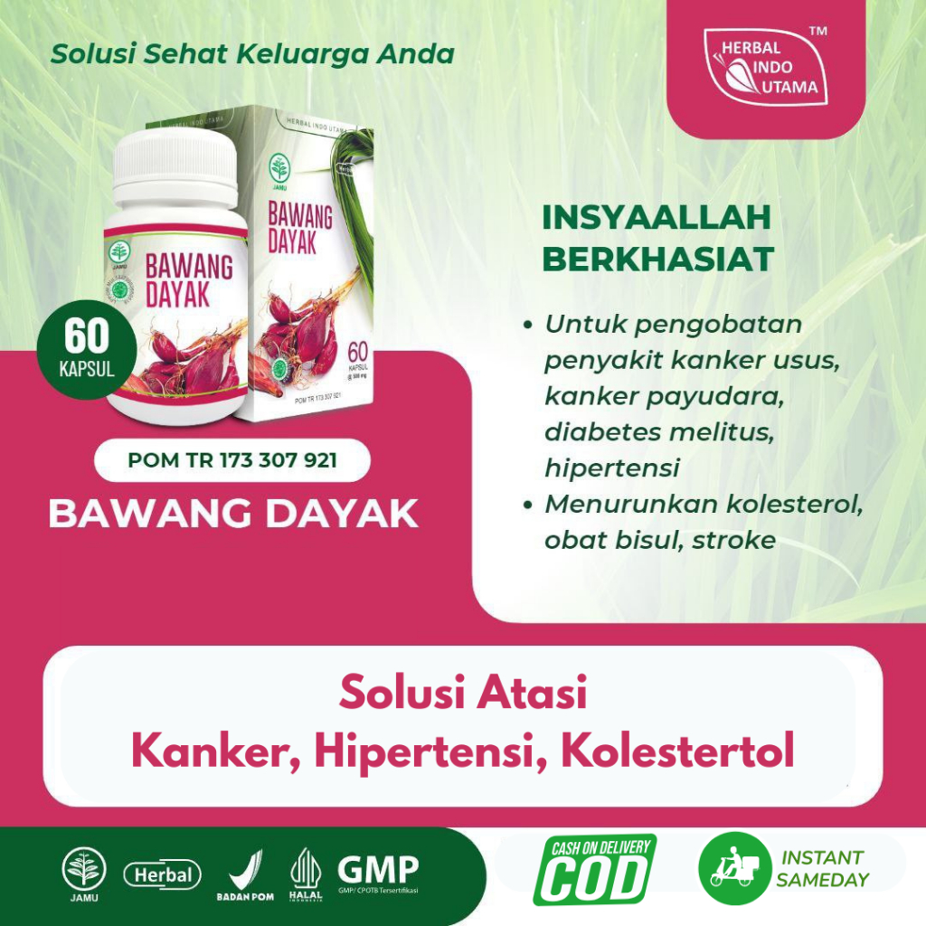 

BAWANG DAYAK - INSYA ALLAH BANTU ATASAI MASALAH KANKER, KOLESTEROL, HIPERTENSI