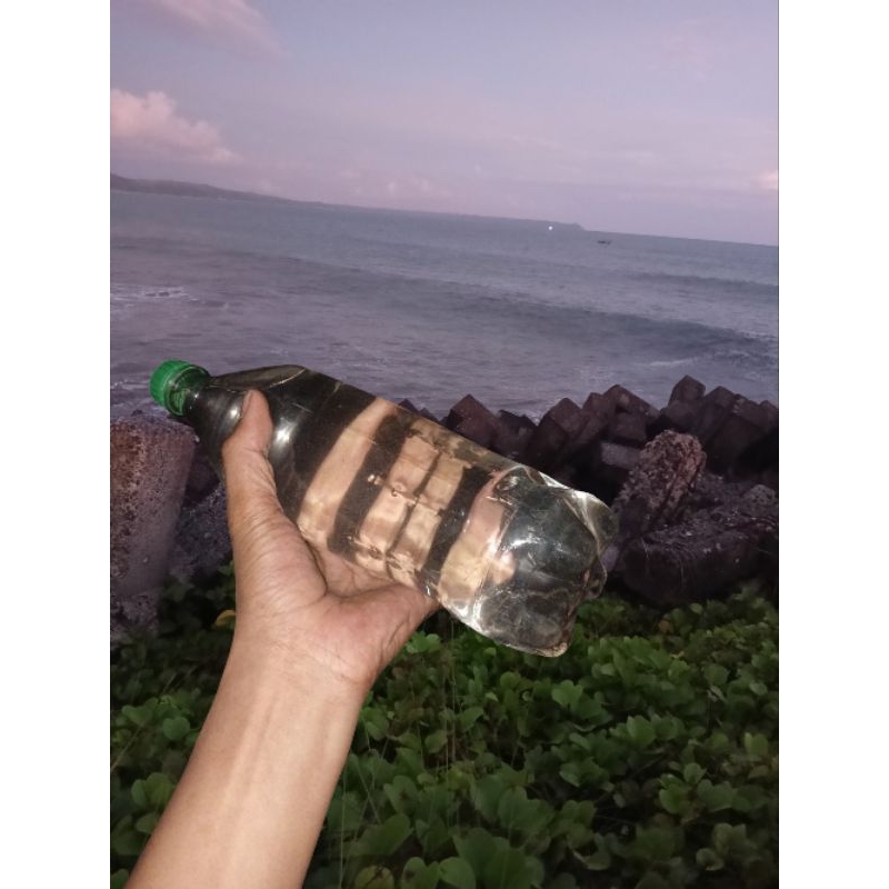 

AIR LAUT MURNI PANTAI SELATAN ASLI ISI 1 LITER/AIR LAUT UNTUK AQUARIUM AQUASCAPE SALT WATER 100% BISA JUGA UNTUK OBAT