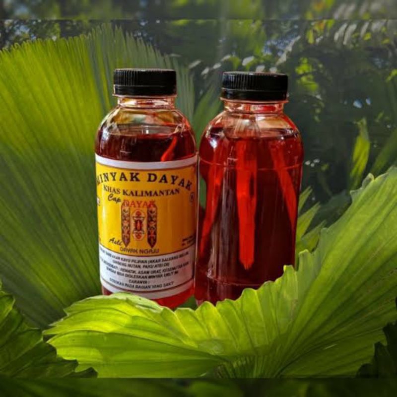 Minyak urut  Dayak khas Kalimantan
