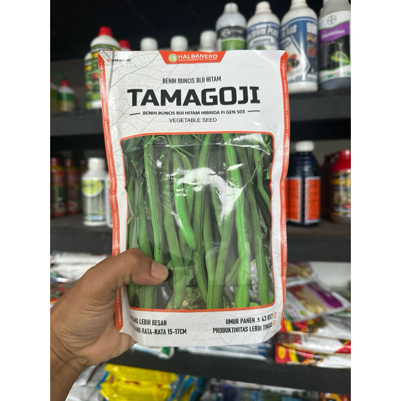 

Benih Buncis Unggul Tamagoji 500 gr