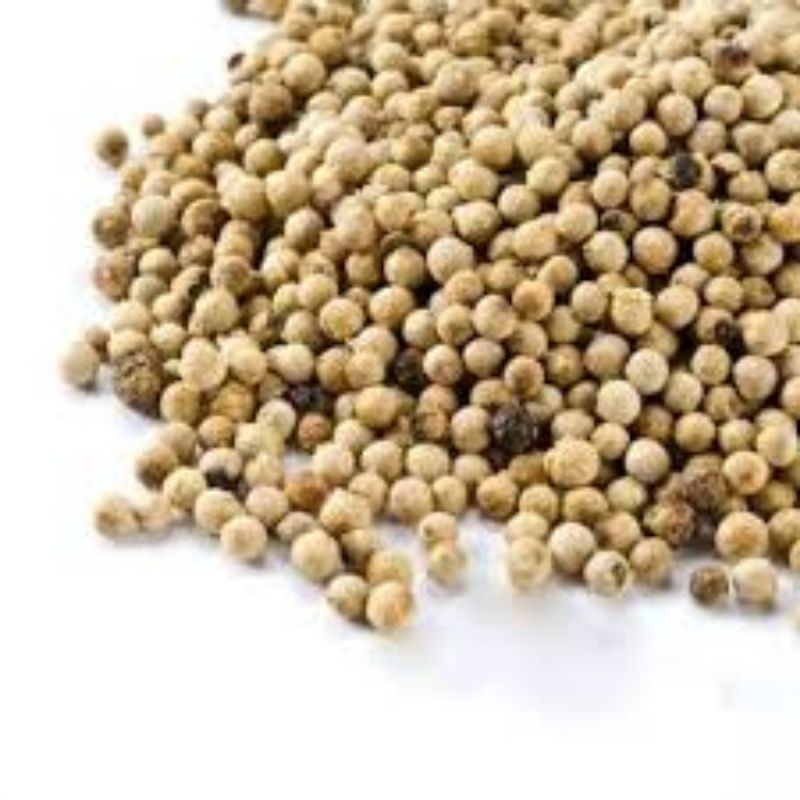 

MERICA/LADA Termurah per 100 Gram