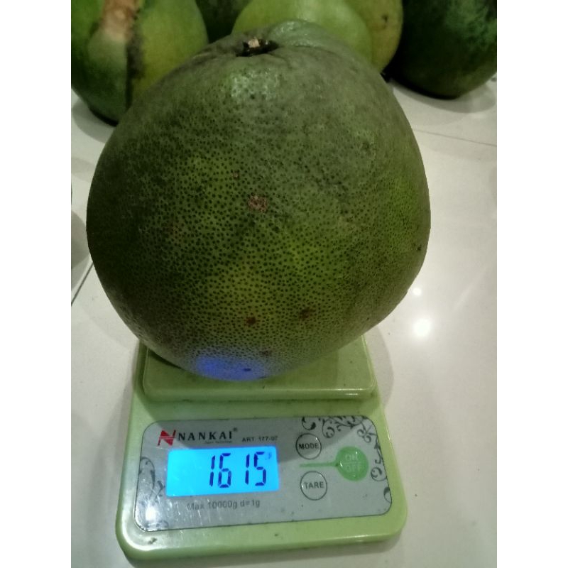 

Jeruk Pamelo Manis Berat 1,5kg - 1,6kg Asli Pati Lereng Muria
