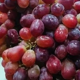 

Anggur Crimsom 1kg
