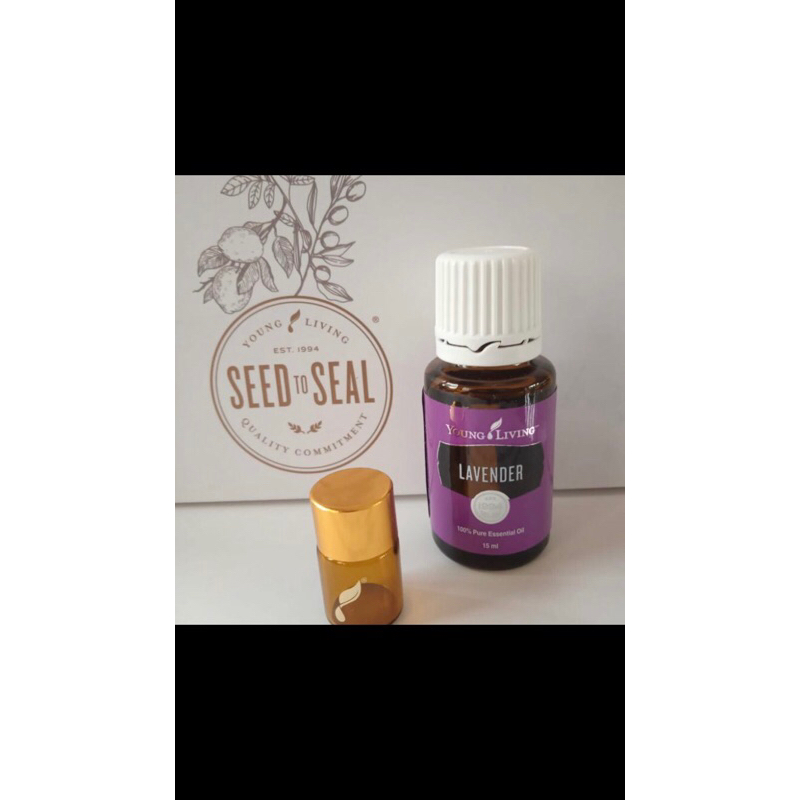 Lavender young essential oil living. Lavender essential oil living. Young living bandung, young livi