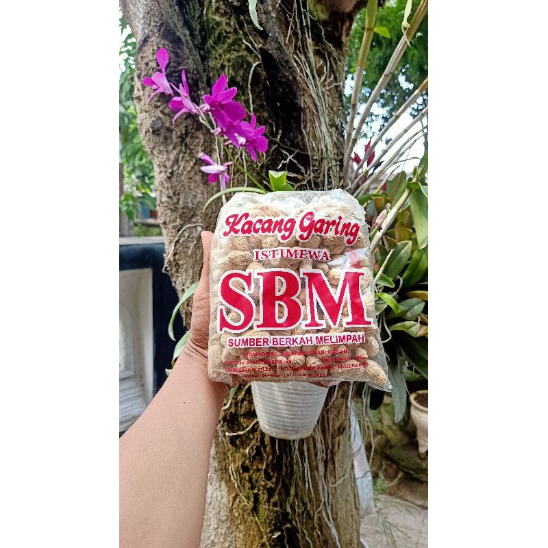

Kacang Kering SBM 250gr dan 200gr