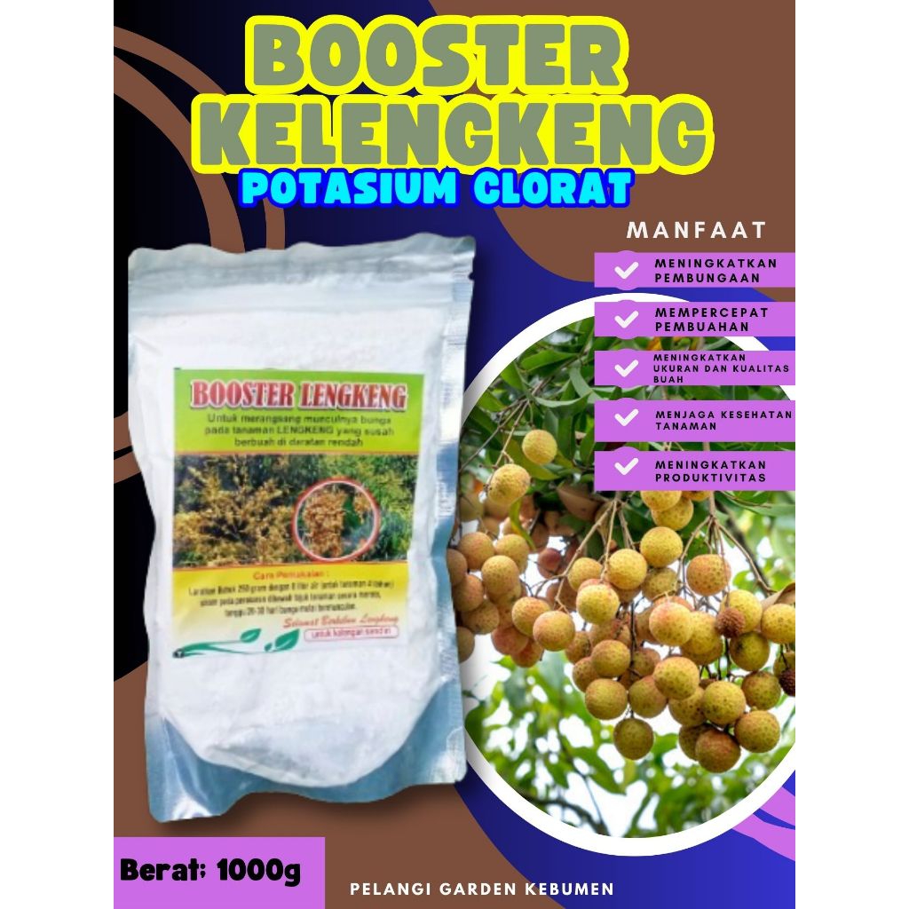BEST SELLER  Booster Kelengkeng Kclo 3 Murni, Booster Kelengkeng Kclo 3, Booster Kelengkeng Kclo
