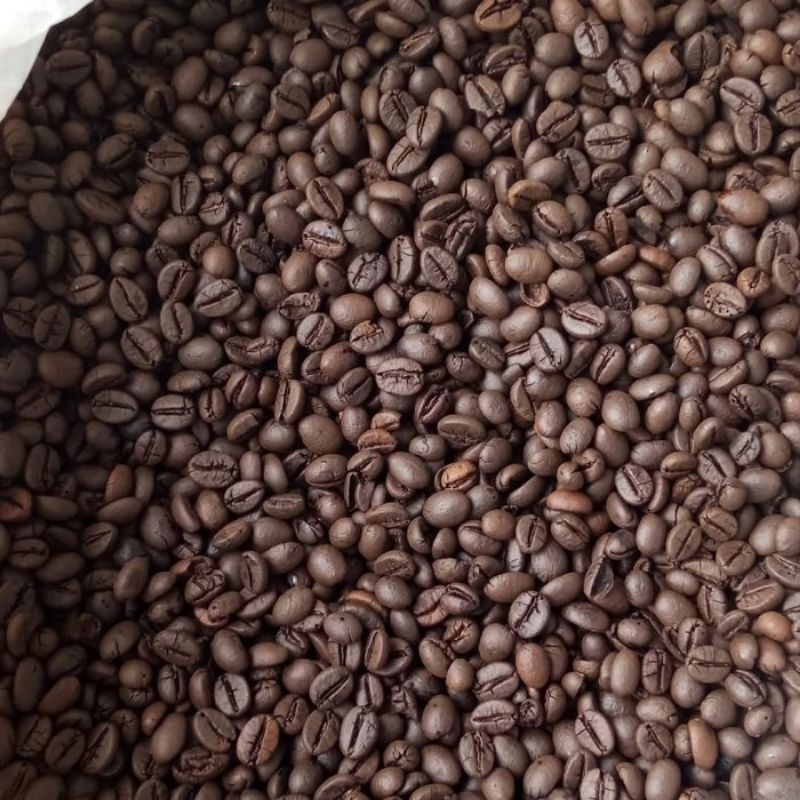 

Biji kopi Robusta Lampung 1kg Hanya Dari Biji Merah pilihan