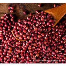 

KACANG MERAH MINI AJUKI RED BEAN KACANG HITAM BLACK BEAN IMPORT KUALITAS PREMIUM SUPPLIER HOTEL CAFE RESTAURANT CATERING UMKM