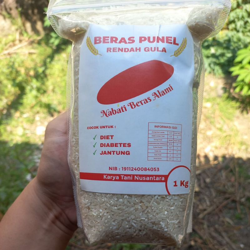 

1 Kg Beras Punel Rendah Gula Untuk Diet Diabetes dan Jantung Tanpa Pengawet Dan Pemutih Sehat Alami