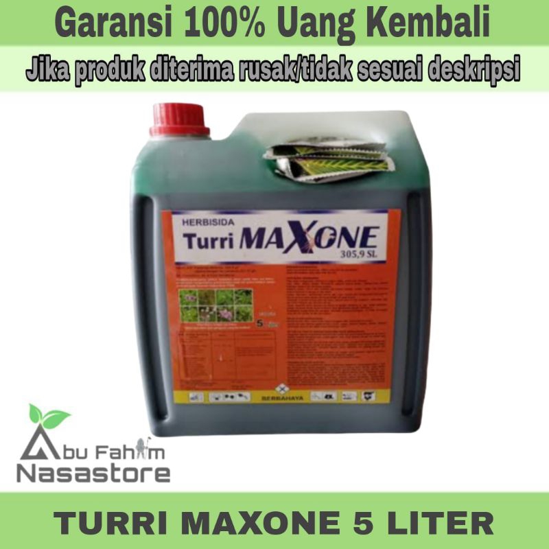 HERBISIDA TURRI MAXONE 305,9 SL 5 LITER PEMBASMI RUMPUT ALANG ALANG