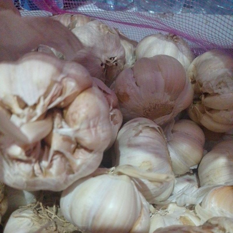 

bawang putih sinco 250gr