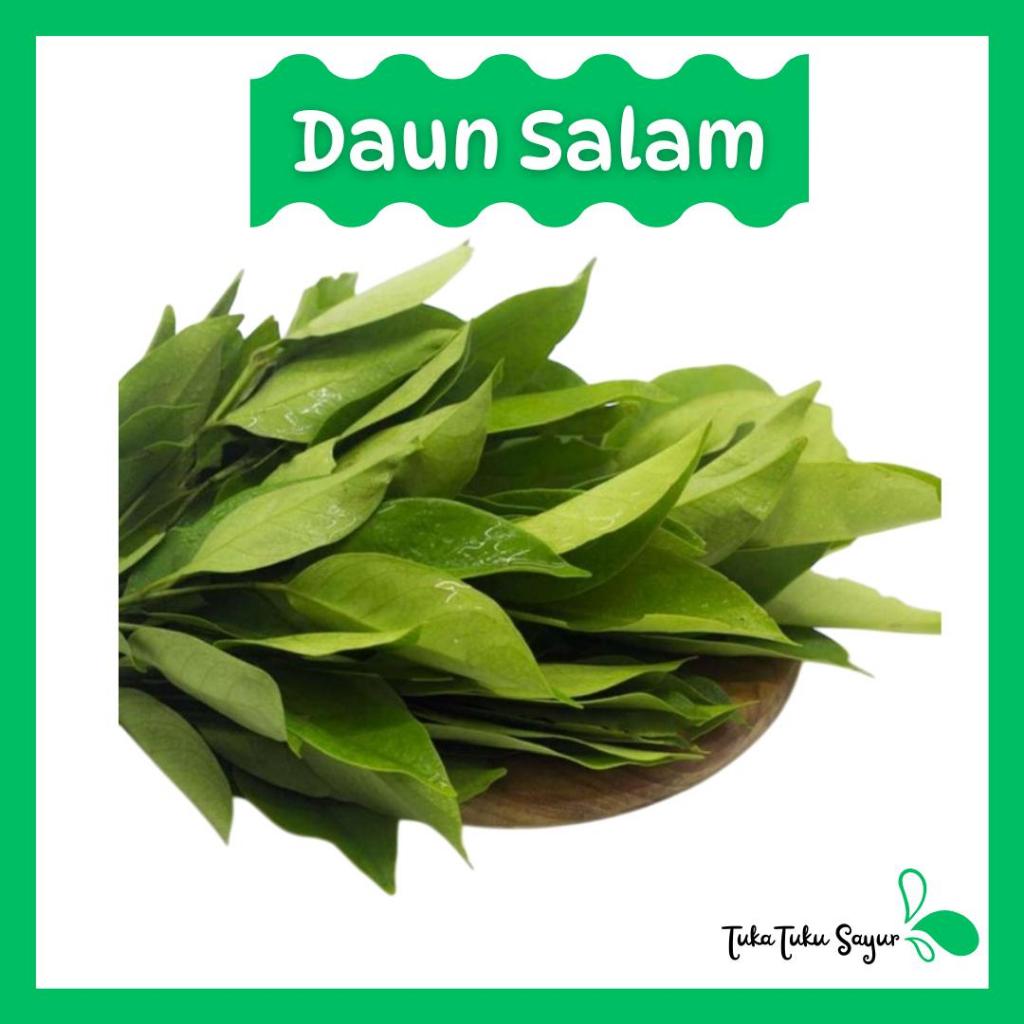 

Daun Salam Segar Per Ikat - TukaTuku Sayur