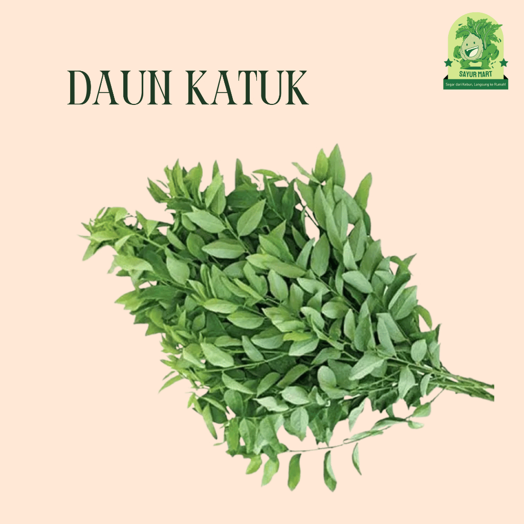 

Daun Katuk 200 Gram