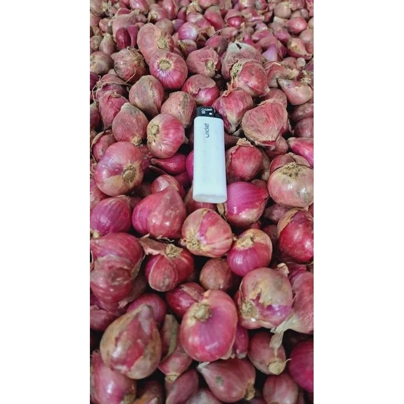 

1KG BAWANG MERAH LOKAL KERING BAGUS / BAMER MURAH
