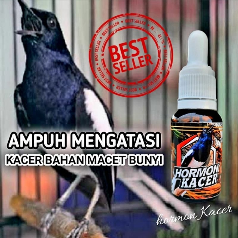 HORMON KACER/hormon kacer/suplemen burung kacer/vitamin burung kacer/jamu burung kacer/penggacor bur