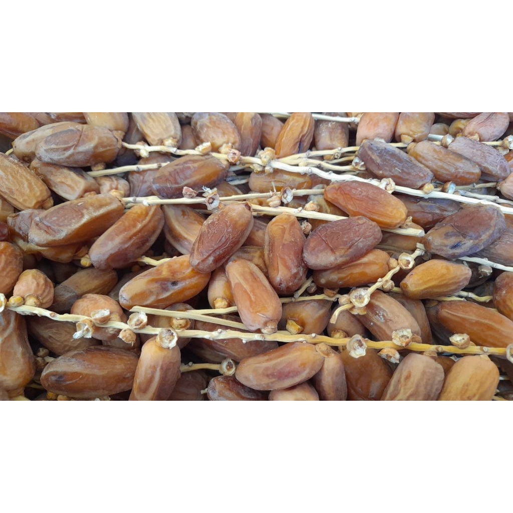 

Kurma Tunisia Tangkai 5 kg