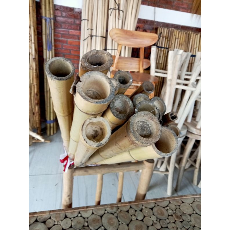 Bambu Polos 2 Meter  Diameter Besar / Bambu Cendani / Bambu Dekorasi Cantik Mulus Artistik Harga Pak