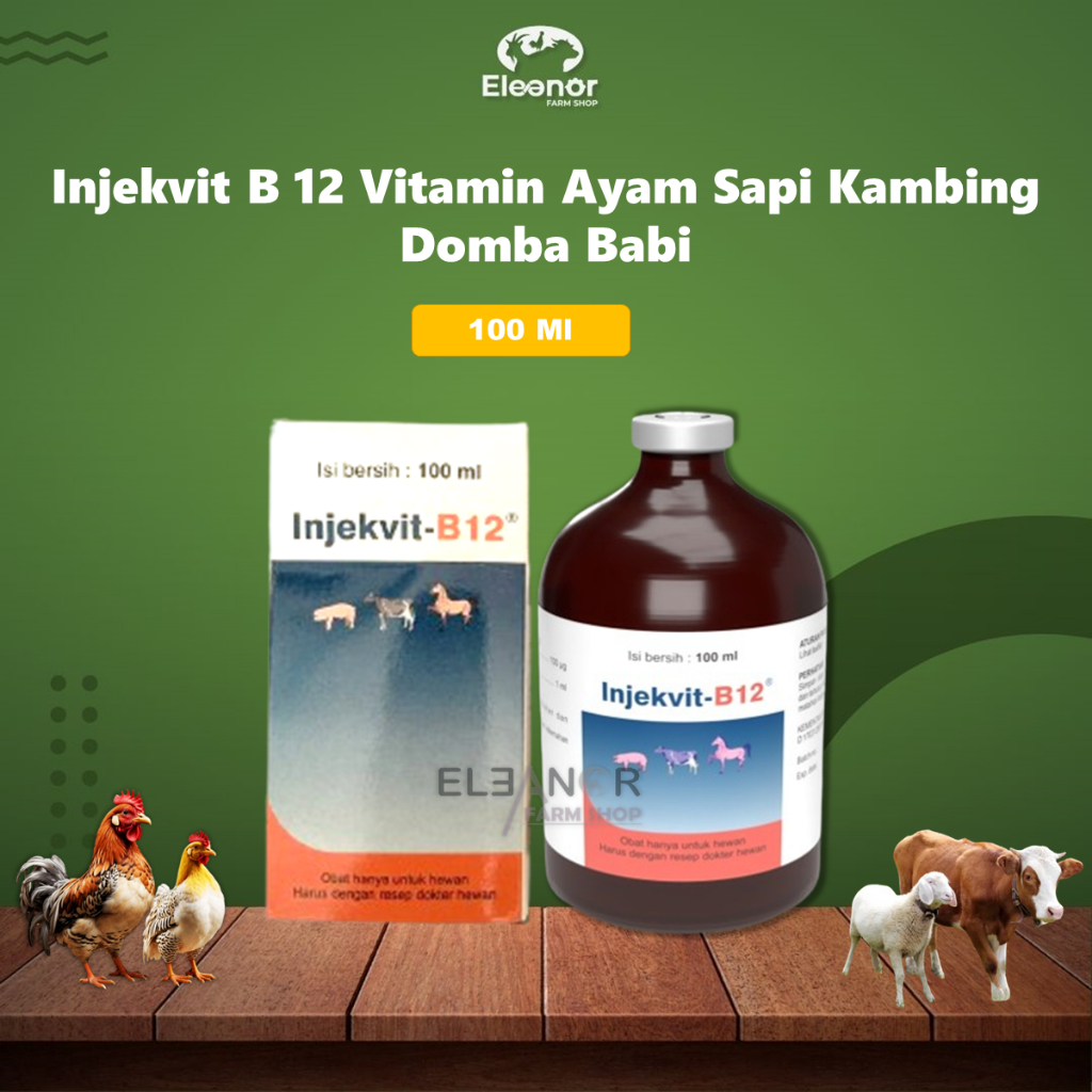 Injekvit B 12 100ml Medion Vitamin B12 Ayam Sapi Kambing Domba Babi Anjing Kucing