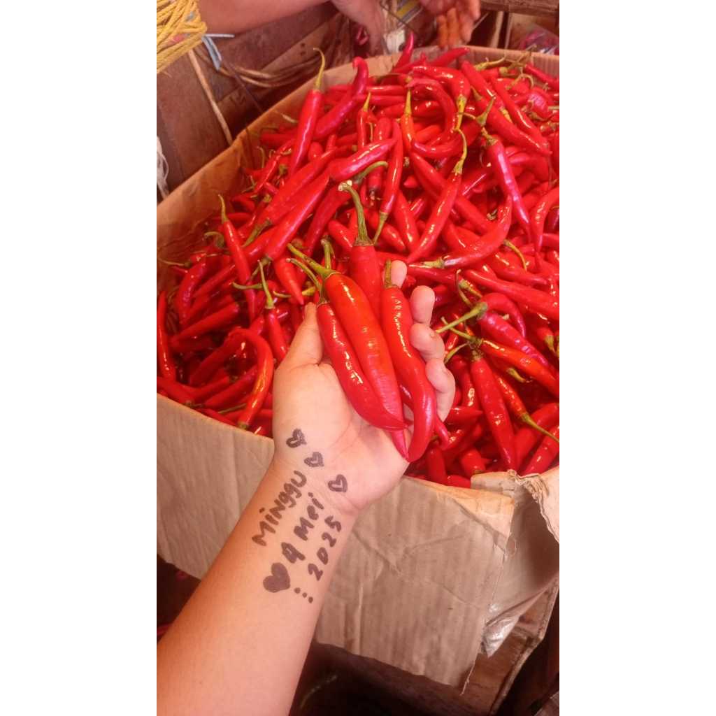 

Cabe Merah Besar TW 1Kg