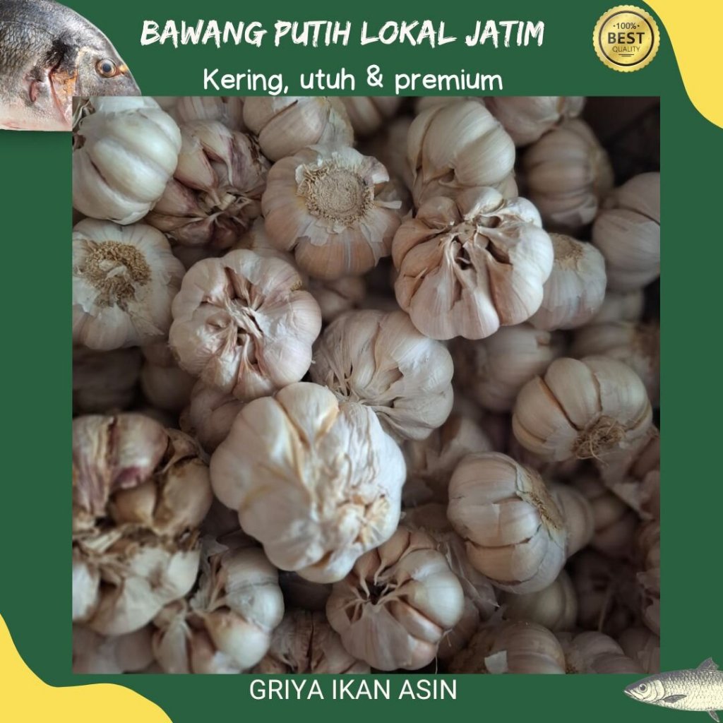 

Bawang putih lokal (JATIM)/Bawang putih premium
