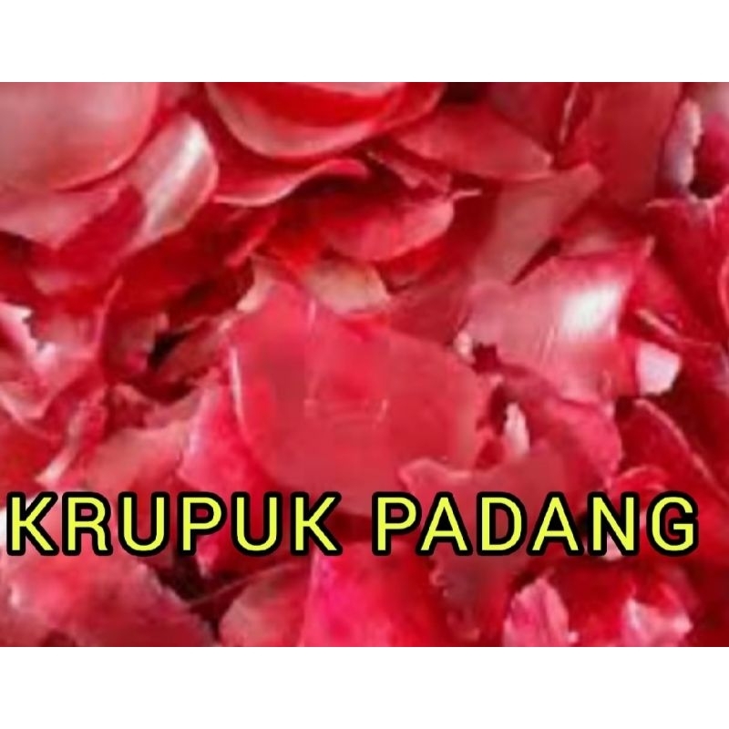

Krupuk Padang Rumah Gadang 500 gram