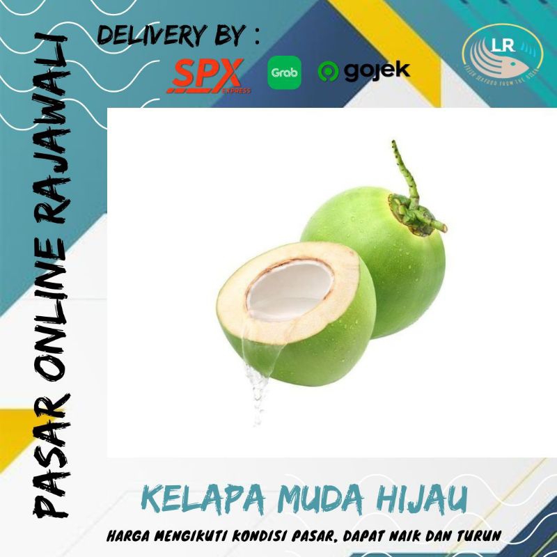 

Kelapa muda