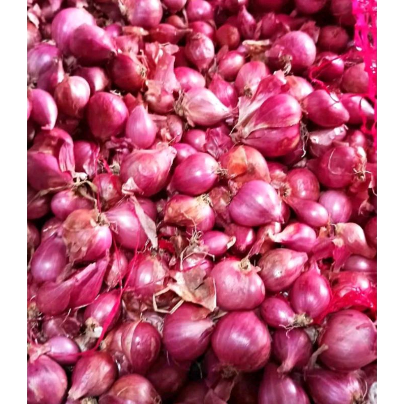 

Bawang Merah Murah Termurah