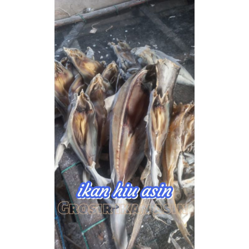 

Ikan hiu asin