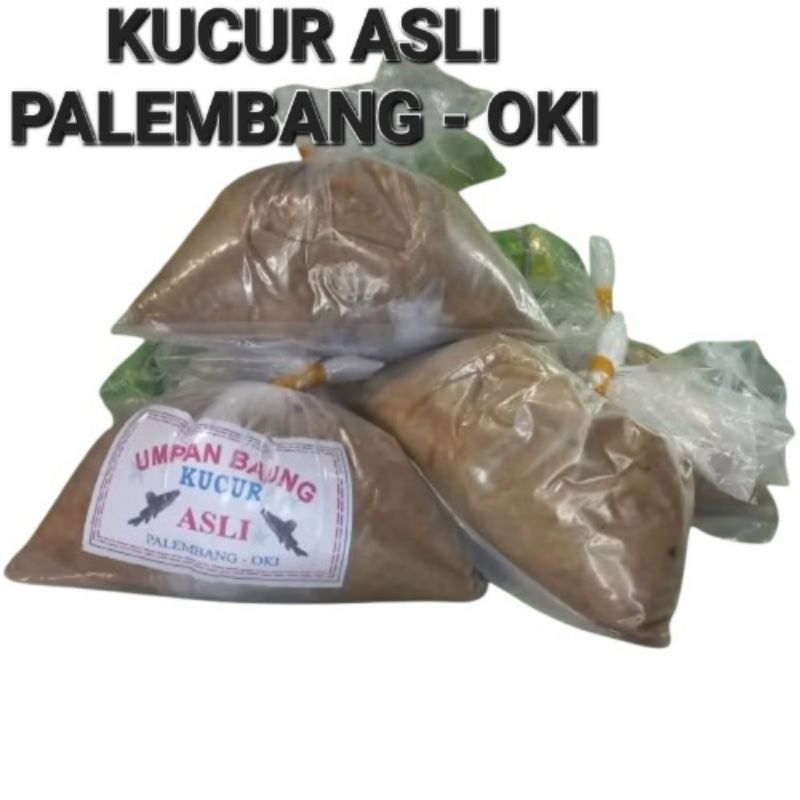 umpan baung kucur asli palembang-oki