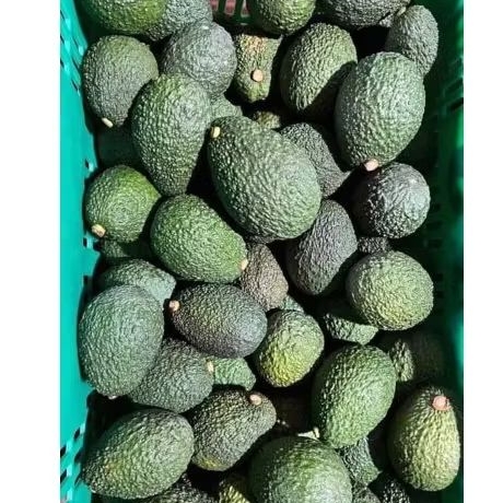 ALPUKAT HASS 1kg 4-6 kualitas premium