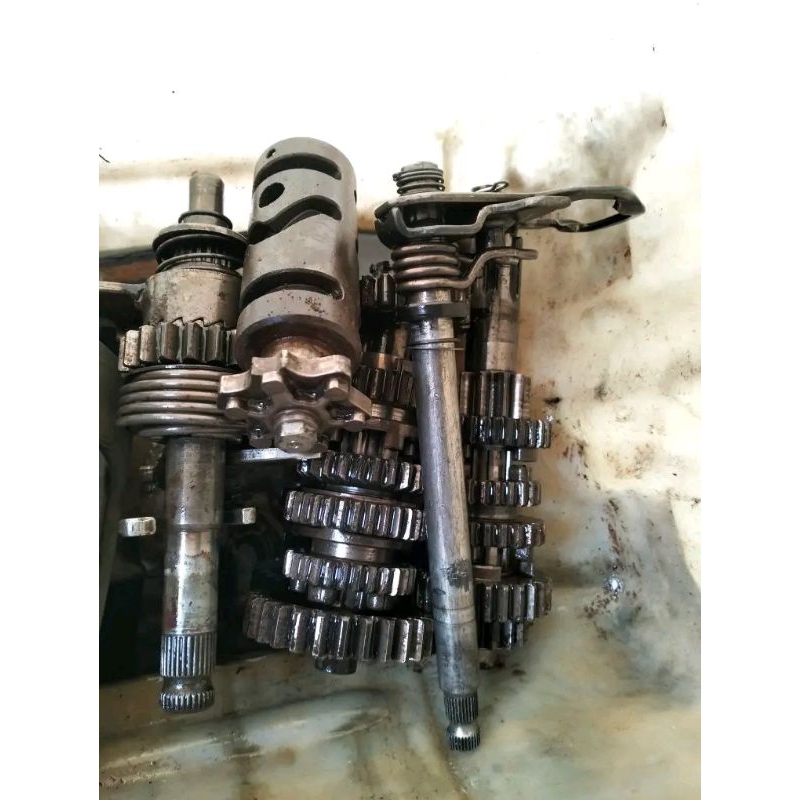 RASIO TIGER ORIGINAL 6 SPEED