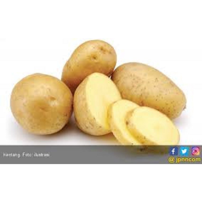 

FRESH POTATO LOCKAL(DIENG) 1KG