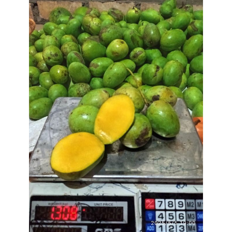 

mangga madu klanceng