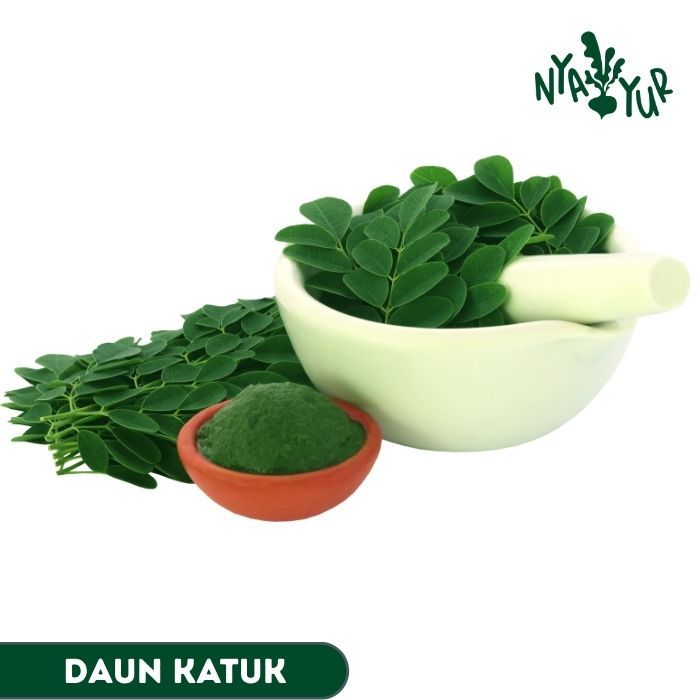 

INSTAN - Daun Katuk per ikat