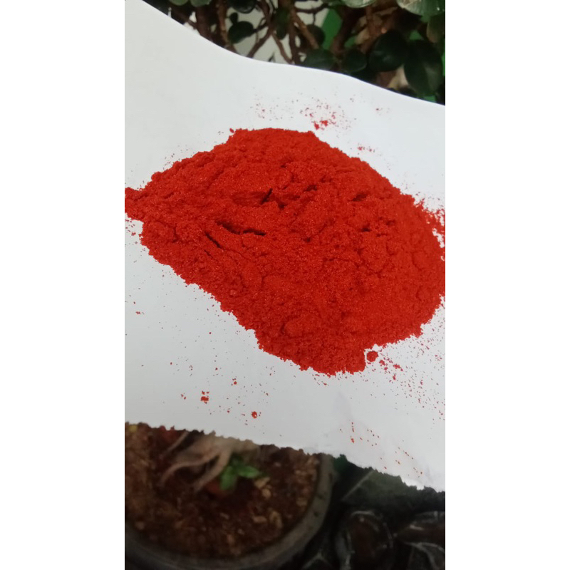 

Paprika Bubuk Powder Merah Murni Bumbu Rempah Dapur 1 Kg